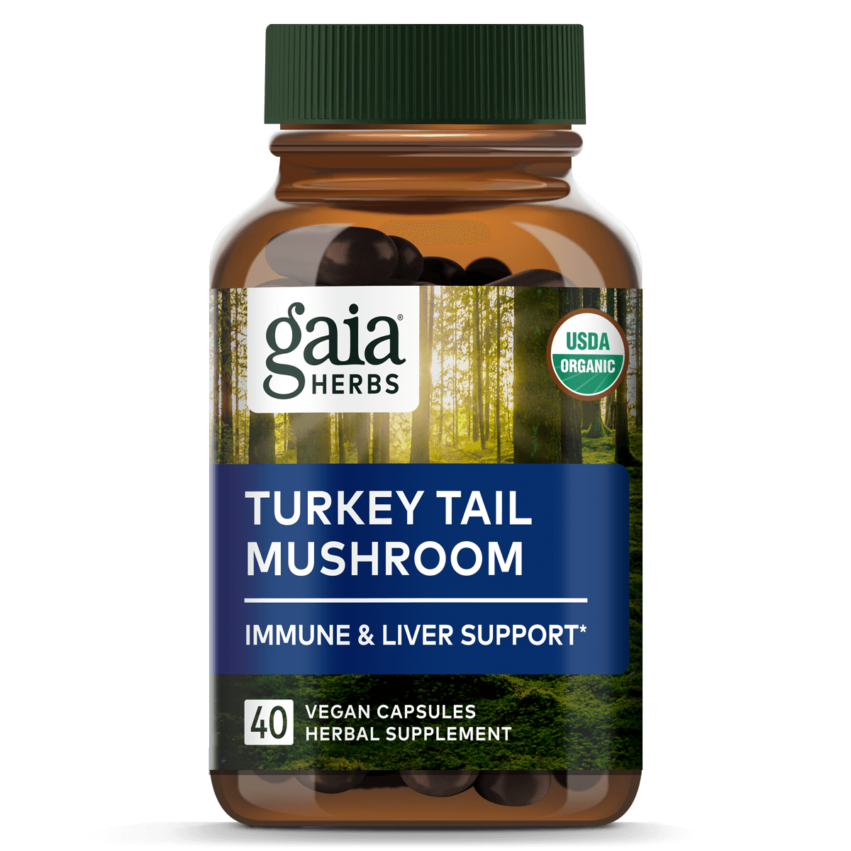 Turkey Tail Mushroom Capsules || 40 ct