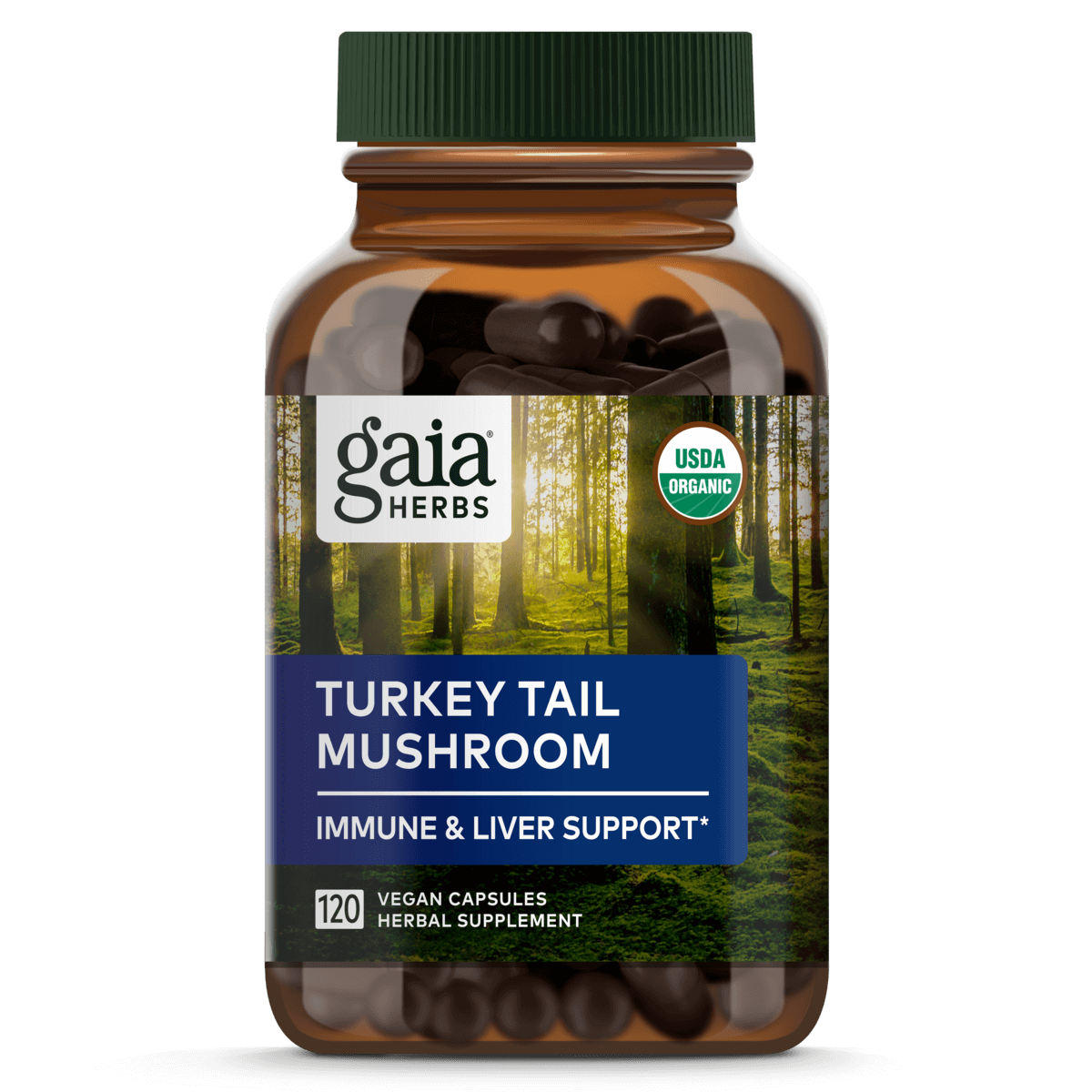 Turkey Tail Mushroom Capsules || 120 ct