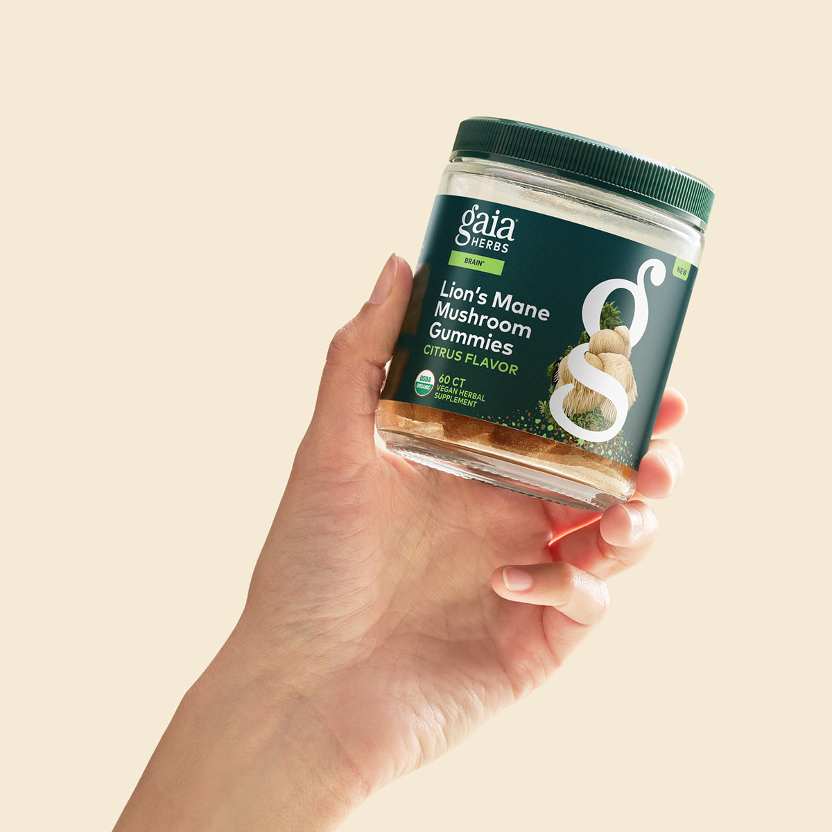 Lion's Mane Gummies In Hand