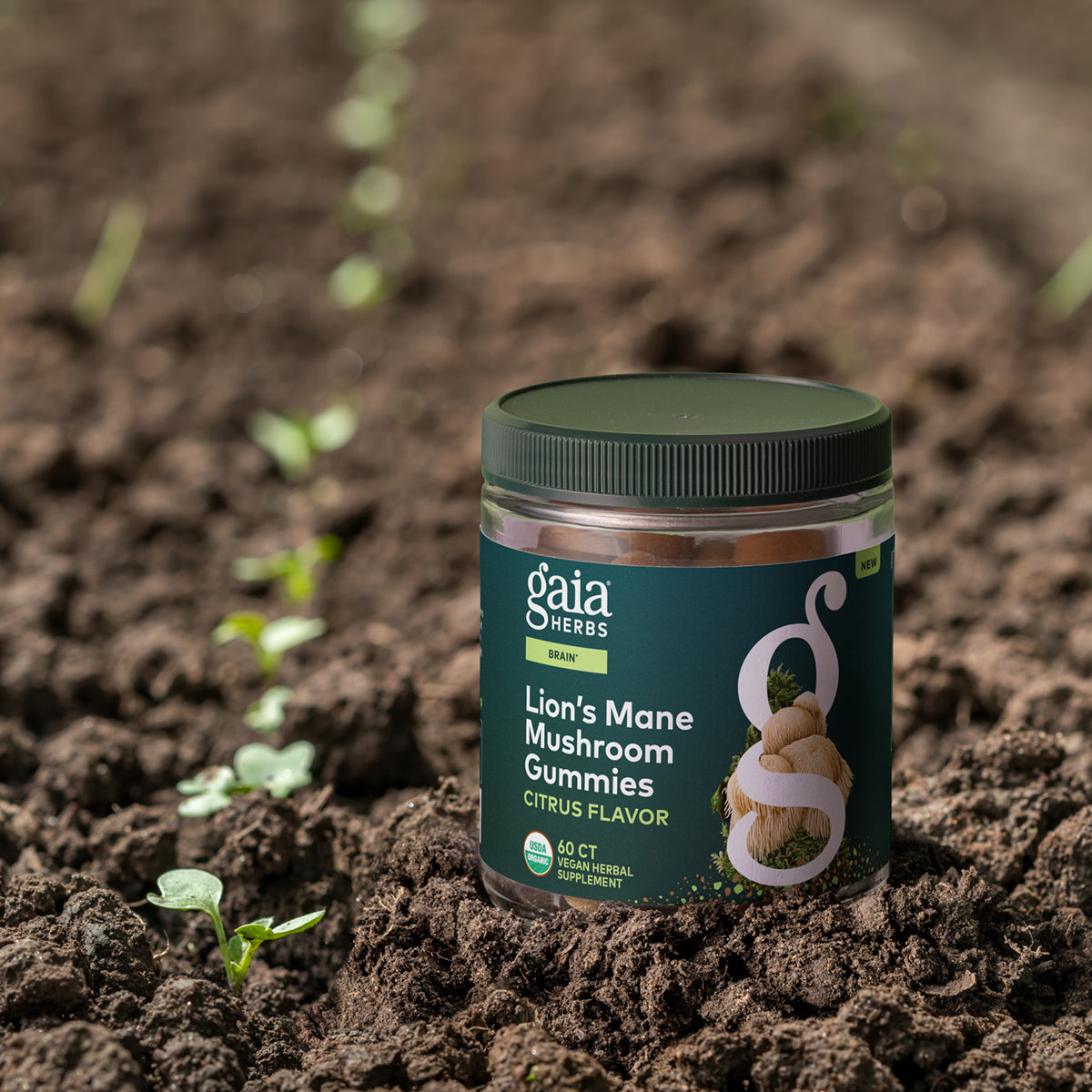 Lion's Mane Gummies 60 Count Bottle In Soil