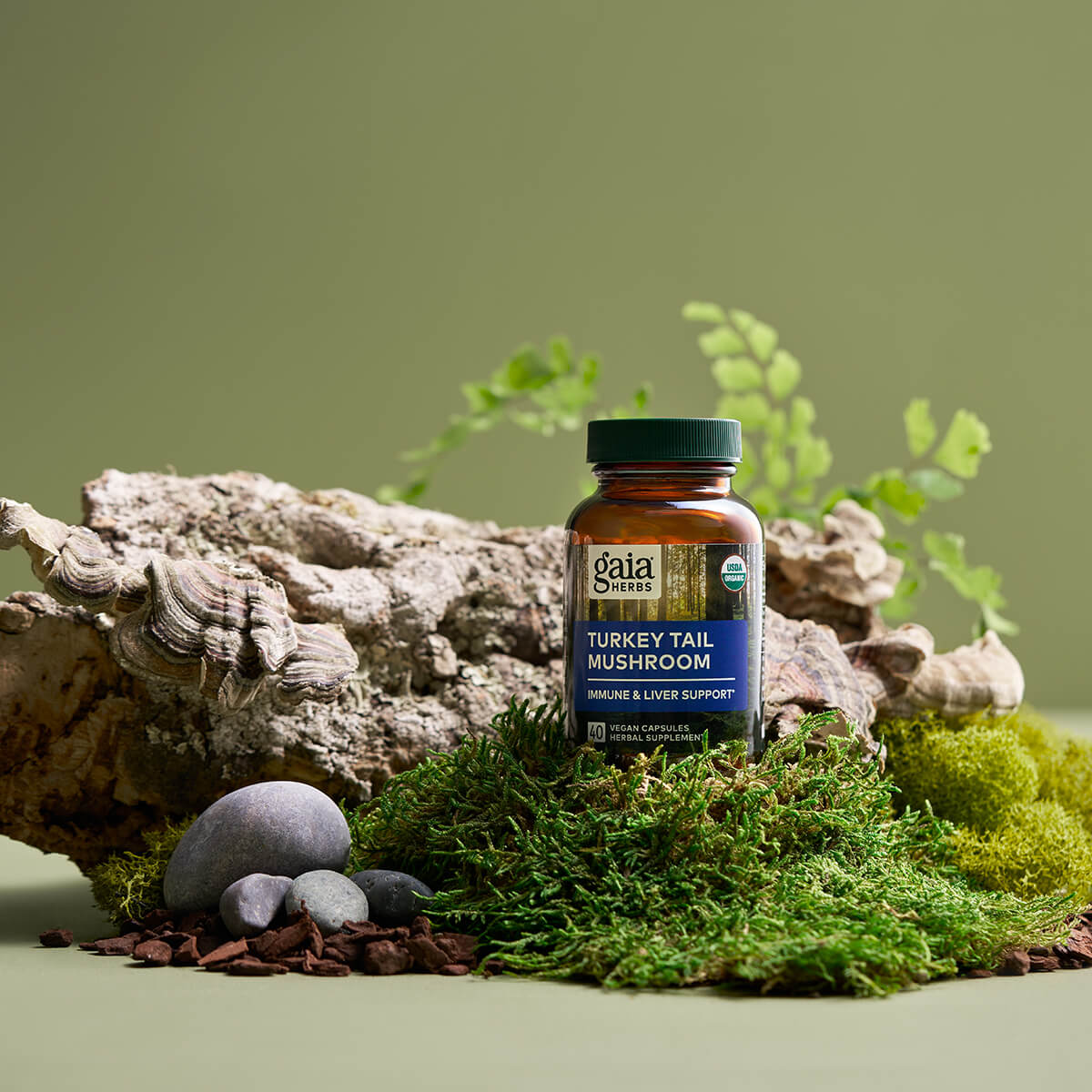 Turkey Tail Mushroom Capsules Mossy Green
