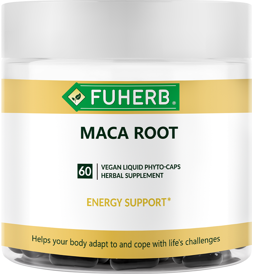 Fuherb Maca Root