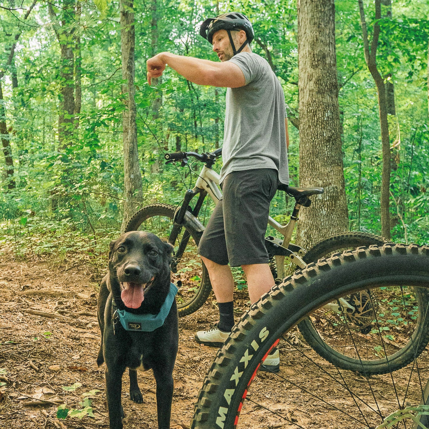 Person Standing With Trail Bicycle With A Dog For Active Lifestyle Category